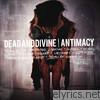 Dead & Divine - Antimacy