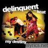 Delinquent - My Destiny (feat. KCAT)
