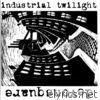 Industrial Twilight