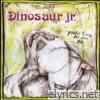 Dinosaur Jr. - You're Living All Over Me