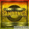 DJ Reflex Presents Sandunga Music