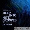 Deep Into Nite Grooves