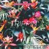 Trippin' (feat. Breana Marin) - Single