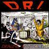 D.r.i. - Dealing With It