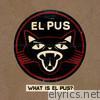 What Is el Pus? - EP