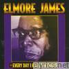 Elmore James - Everyday I Have the Blues