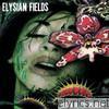 Elysian Fields - Queen of the Meadow