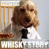 Example - Whisky Story - Single