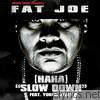 Fat Joe - (Ha Ha) Slow Down [feat. Young Jeezy]