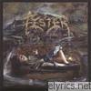 Fester - A Celebration Of Death