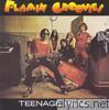 Flamin Groovies - Teenage Head