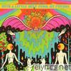 Flaming Lips - With a Little Help From My Fwends