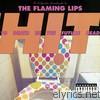 Flaming Lips - Hit to Death In the Future Head