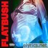 Flatbush Zombies - Afterlife - Single