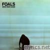 Foals - What Went Down (Deluxe)