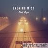 Evening Mist - Single