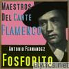 Maestros del Cante Flamenco