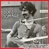 Frank Zappa - Joe's Domage