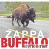 Frank Zappa - Buffalo (Live at Buffalo Memorial Auditorium, 1980)