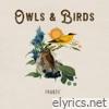 Owls & Birds
