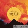 Ftampa - Love Is All We Need (feat. Anne M) - Single
