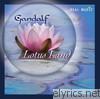 Gandalf - Lotus Land