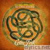 Garden Of Delight - The Celtic Journey – Celtic Folk