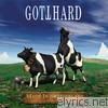 Gotthard - Made In Switzerland - Live in Zürich