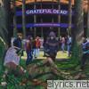 Grateful Dead - Dozin' At the Knick: Knickerbocker Arena