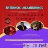 Intrinsic Meanderings - EP