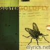 Guster - Goldfly