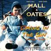 Hall & Oates - Drying in the Sun