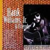 Hank Williams, Jr. - Hank Williams, Jr. & Friends