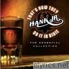 Hank Williams, Jr. - That's How They Do It In Dixie - The Essential Collection