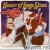 House Of Large Sizes - One Big Cake