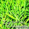 Ian Moore - Ian Moore's Got the Green Grass