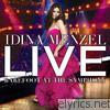 Idina Menzel - Live - Barefoot At the Symphony