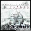 In Flames - Reroute to Remain