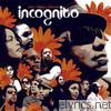 Incognito - Bees + Things + Flowers