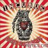 Incubus - Light Grenades