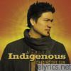 Indigenous - Chasing the Sun