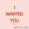 I Wanted You (Remix) [feat. T dot Flirtz] - Single