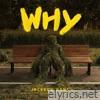 Jackson Wang - Why Why Why - Single