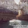 Day To Feel Alive - Single