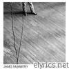 James Mcmurtry - Complicated Game