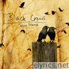 Black Crows - Single