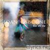 Joan Osborne - Little Wild One