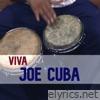 Viva Joe Cuba