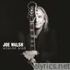 Joe Walsh - Analog Man (Bonus Track Version)