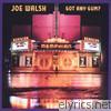 Joe Walsh - Got Any Gum?